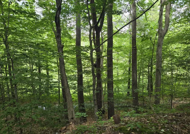 4th image of 208 Nh Route 3A, Hill, NH 03243 | MLS# 5099472