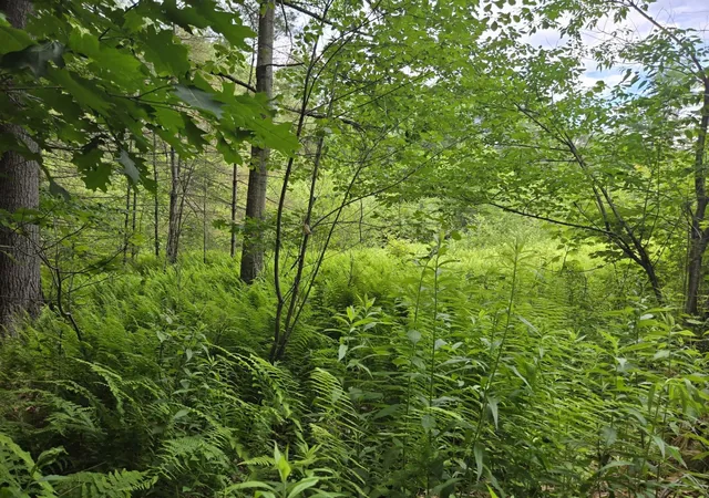 5th image of 208 Nh Route 3A, Hill, NH 03243 | MLS# 5099472