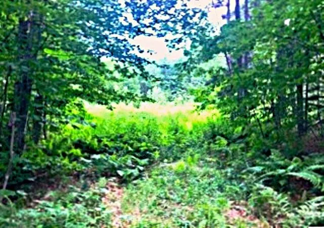 Photo 3 of Land for sale at 540 Shampeny Hill Rd, Hancock, VT 05748 | MLS# 5099480 | Listing updated on 2026-07-25