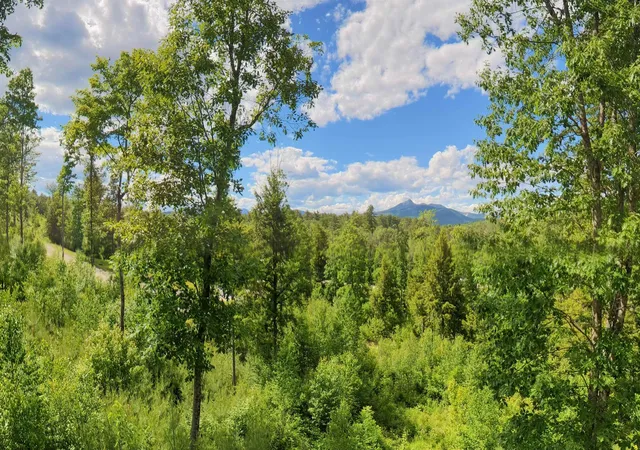 Photo 2 of Land for sale at Lot 8 Whipples Wy, Tamworth, NH 03817 | MLS# 5099489 | Listing updated on 2026-07-25