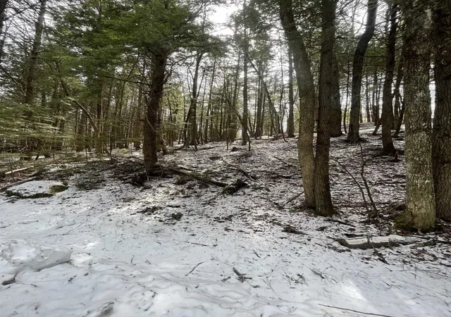 Homes for sale in Grafton, VT | 000 Hinkley Brook Rd, Grafton, VT 05146 | MLS# 5099555