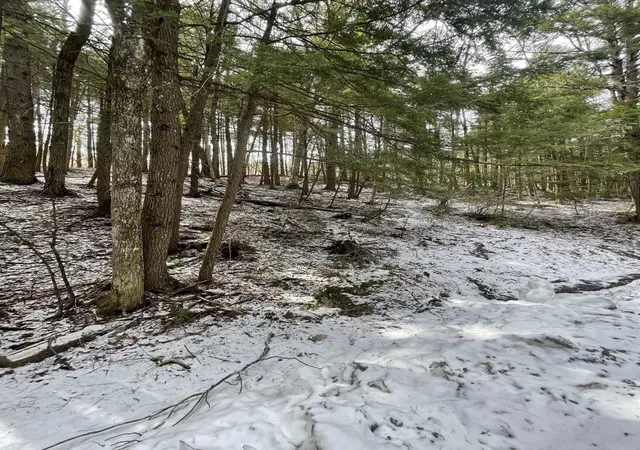 Photo 3 of Land for sale at 000 Hinkley Brook Rd, Grafton, VT 05146 | MLS# 5099555 | Listing updated on 2026-07-13