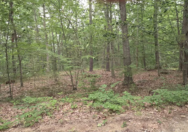 6th image of 90 Lamprey Dr, Nottingham, NH 03290 | MLS# 5099557