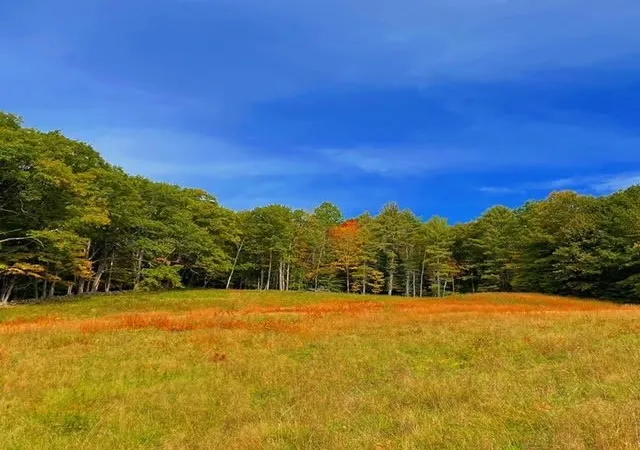 Homes for sale in Plainfield, NH | 00 Route120, Plainfield, NH 03770 | MLS# 5099604