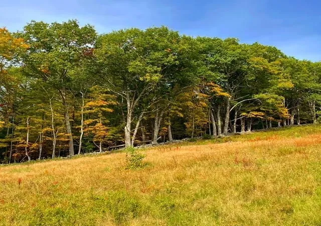 Homes for sale in Plainfield, NH | 00 Route120, Plainfield, NH 03770 | MLS# 5099604
