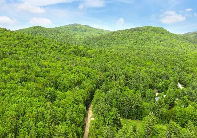 Homes for sale in New Durham, NH | 00 Lions Camp Pride Wy, New Durham, NH 03855 | MLS# 5099625