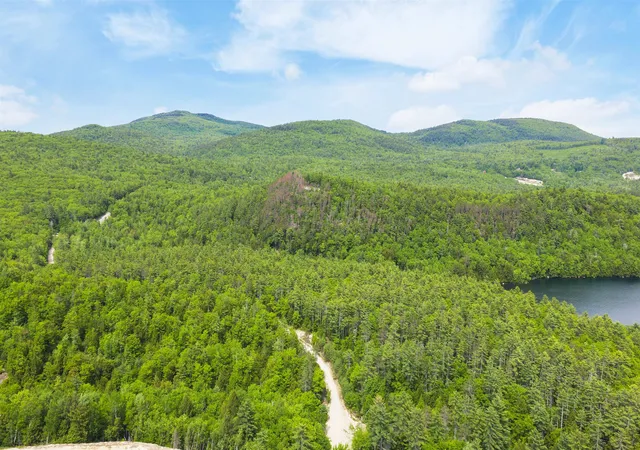 Homes for sale in New Durham, NH | 00 Lions Camp Pride Wy, New Durham, NH 03855 | MLS# 5099625
