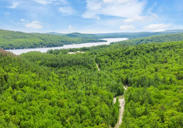 Homes for sale in New Durham, NH | 00 Lions Camp Pride Wy, New Durham, NH 03855 | MLS# 5099625