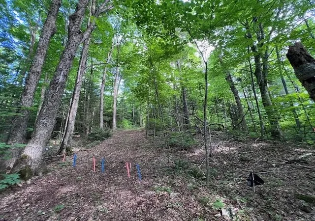 25th image of 528 Paradise Ln, Charleston, VT 05872 | MLS# 5099641