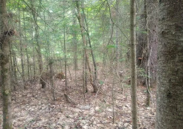 2nd image of Swiftwater Cir, Woodsville, NH 03785 | MLS# 5099651