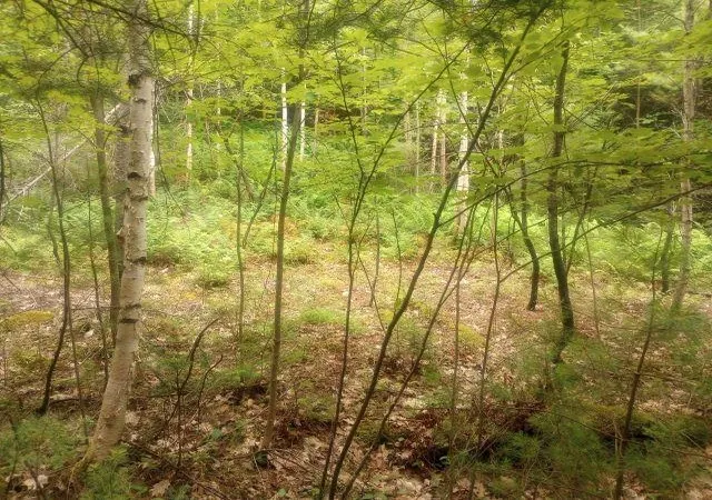 Photo 3 of Sale Pending at Swiftwater Cir, Woodsville, NH 03785 | MLS# 5099651 | Listing updated on 2026-09-18