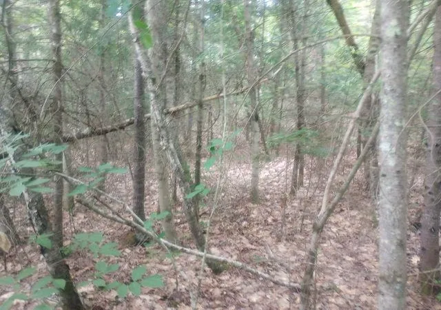 Photo 3 of Sale Pending at Swiftwater Cir, Woodsville, NH 03785 | MLS# 5099651 | Listing updated on 2026-09-18