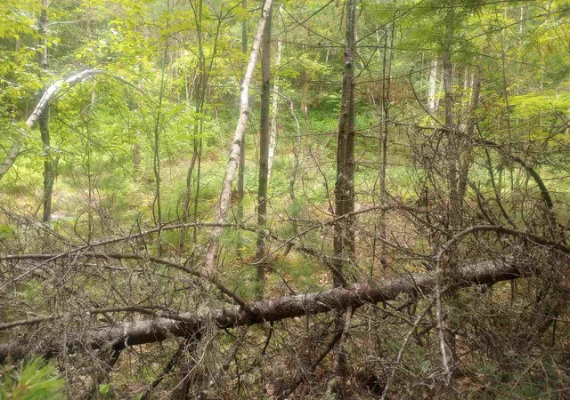 5th image of Swiftwater Cir, Woodsville, NH 03785 | MLS# 5099651