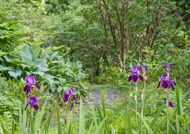 4th image of 254 Macey Rd, Middlesex, VT 05682 | MLS# 5099690