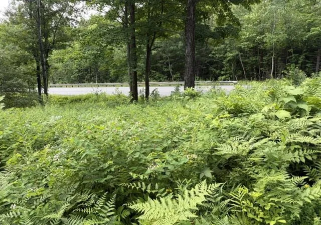 1st image of 2100 Rt 58, Irasburg, VT 05845 | MLS# 5099693