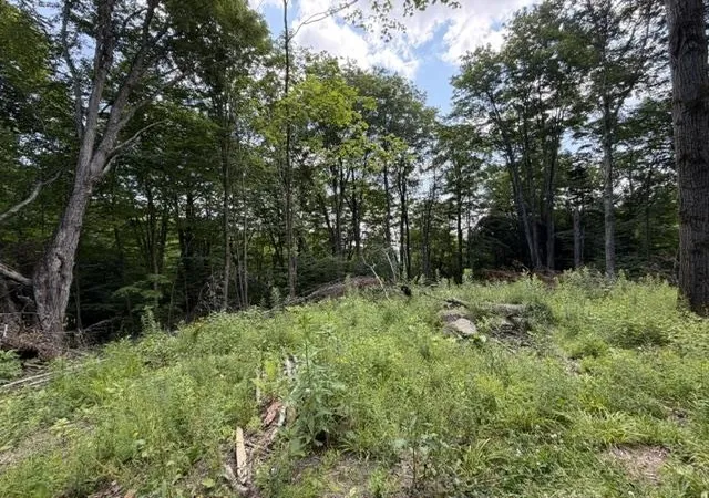 4th image of 2100 Rt 58, Irasburg, VT 05845 | MLS# 5099693