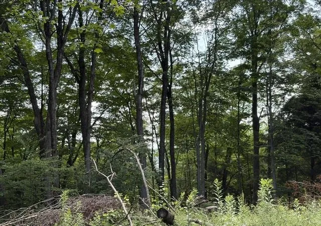 5th image of 2100 Rt 58, Irasburg, VT 05845 | MLS# 5099693