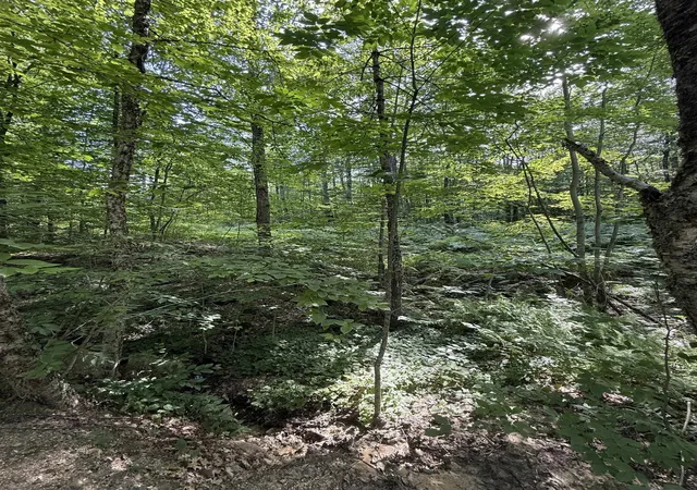 Homes for sale in Sanbornton, NH | 22 Wadleigh Rd, Sanbornton, NH 03269 | MLS# 5099700