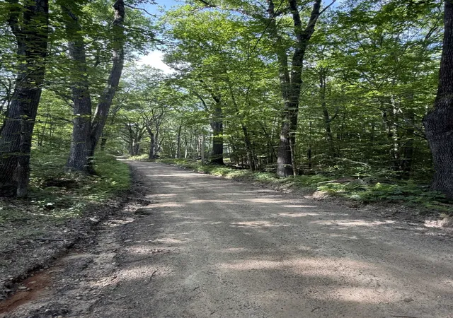 Homes for sale in Sanbornton, NH | 22 Wadleigh Rd, Sanbornton, NH 03269 | MLS# 5099700