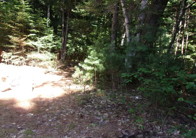 Homes for sale in Haverhill, NH | Swiftwater Cir, Haverhill, NH 03785 | MLS# 5099706