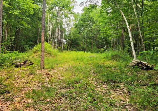 Homes for sale in Winchester, NH | 54 Fullam Pond Rd, Winchester, NH 03470 | MLS# 5099768