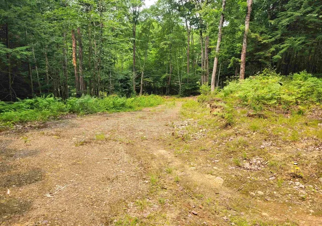 Homes for sale in Winchester, NH | 54 Fullam Pond Rd, Winchester, NH 03470 | MLS# 5099768