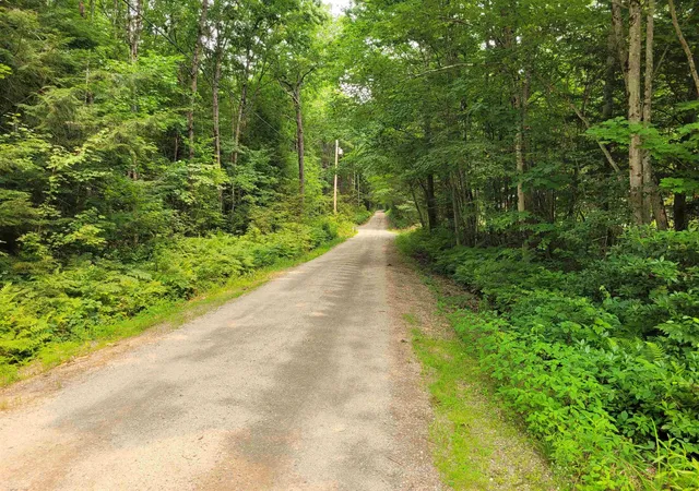 Homes for sale in Winchester, NH | 54 Fullam Pond Rd, Winchester, NH 03470 | MLS# 5099768