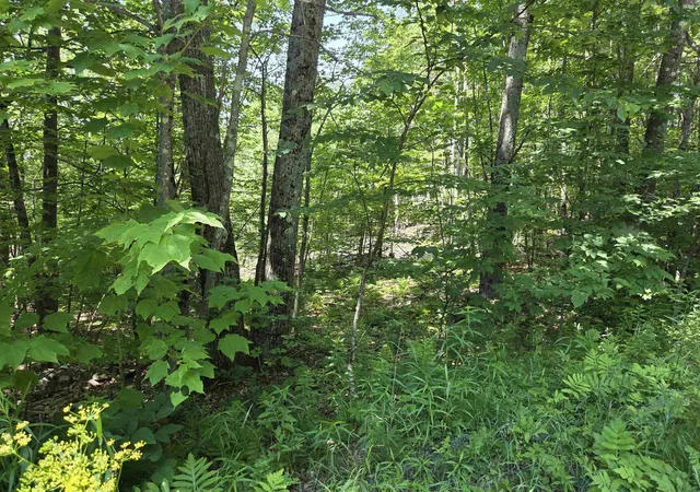 Homes for sale in Enfield, NH | X Methodist Hill Rd, Enfield, NH 03748 | MLS# 5099778