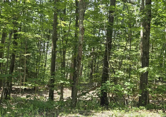 Homes for sale in Enfield, NH | X Methodist Hill Rd, Enfield, NH 03748 | MLS# 5099778