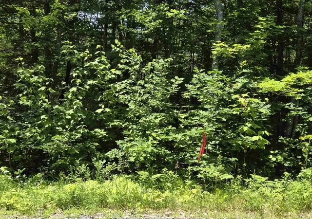 Homes for sale in Enfield, NH | X Methodist Hill Rd, Enfield, NH 03748 | MLS# 5099778