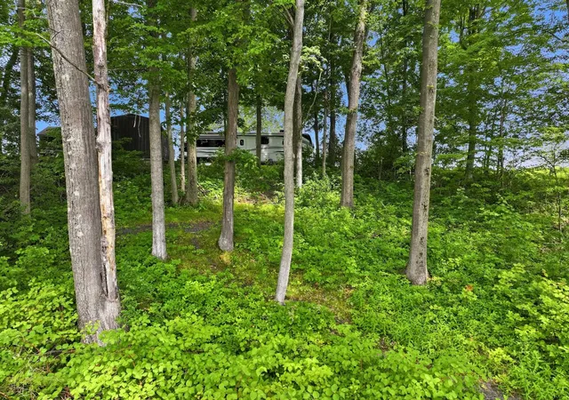 3rd image of 364 Delong Ln, Shoreham, VT 05770 | MLS# 5099795