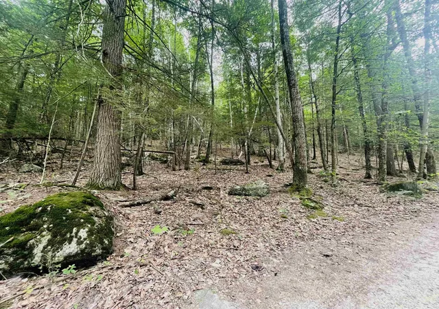 Homes for sale in Pittsfield, NH | Lot 11 True Rd, Pittsfield, NH 03263 | MLS# 5099813