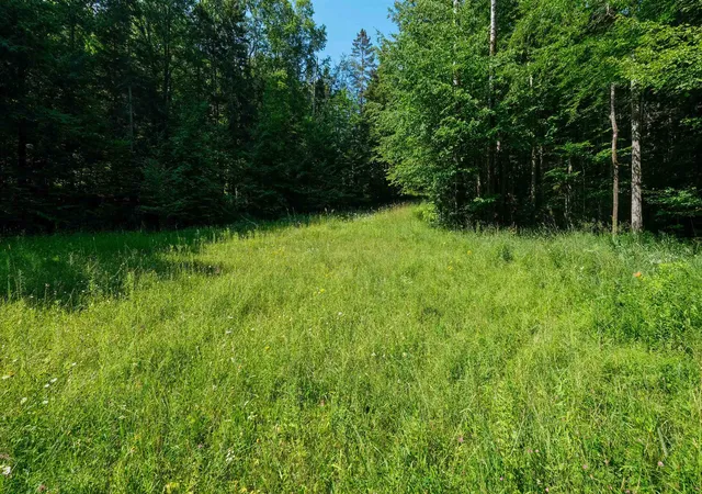 Homes for sale in Ludlow, VT | 0 Berry Patch Ln, Ludlow, VT 05149 | MLS# 5099902