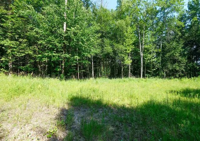 Homes for sale in Ludlow, VT | 0 Berry Patch Ln, Ludlow, VT 05149 | MLS# 5099902