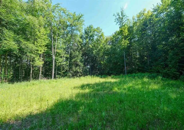 Homes for sale in Ludlow, VT | 0 Berry Patch Ln, Ludlow, VT 05149 | MLS# 5099902