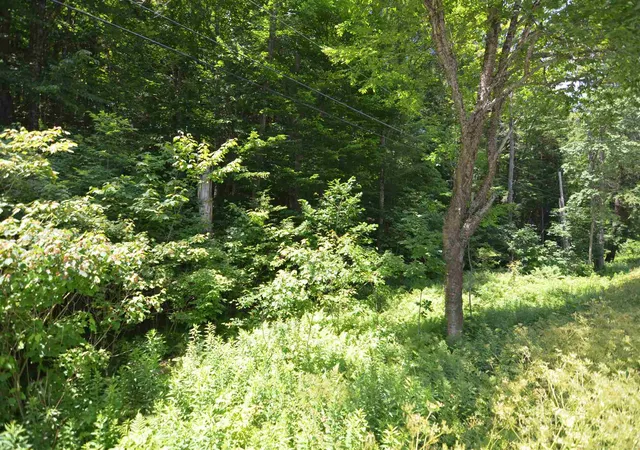 Photo 4 of Land for sale at 1336 Route 100N, Plymouth, VT 05056 | MLS# 5099903 | Listing updated on 2026-09-03