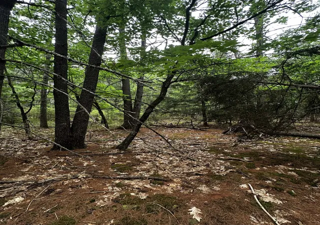 5th image of 877 N Barnstead Rd, Center Barnstead, NH 03225 | MLS# 5099997