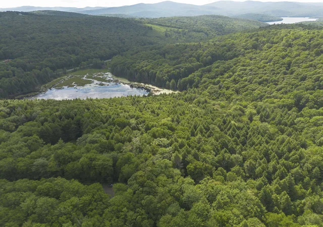 Photo 3 of Land for sale at 00 Ryder Pond Rd, Whitingham, VT 05361 | MLS# 5100022 | Listing updated on 2026-09-14
