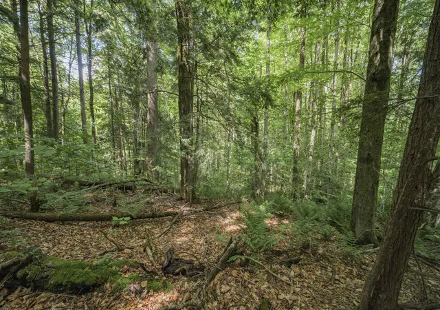 Photo 3 of Land for sale at 00 Ryder Pond Rd, Whitingham, VT 05361 | MLS# 5100022 | Listing updated on 2026-09-14