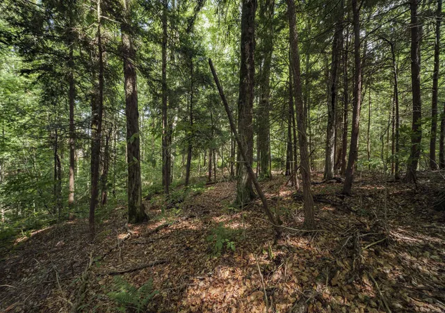 Photo 4 of Land for sale at 00 Ryder Pond Rd, Whitingham, VT 05361 | MLS# 5100022 | Listing updated on 2026-09-14