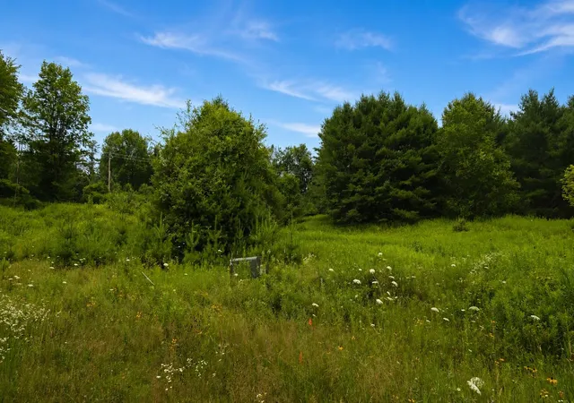 Photo 1 of Land for sale at 0 Lathrop Loop, Ludlow, VT 05149 | MLS# 5100067 | Listing updated on 2026-07-15