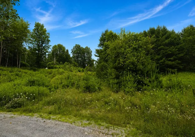 Photo 3 of Land for sale at 0 Lathrop Loop, Ludlow, VT 05149 | MLS# 5100067 | Listing updated on 2026-07-15