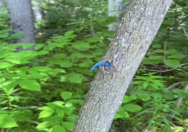 13th image of 0 Jasper St, Berlin, NH 03570 | MLS# 5100074