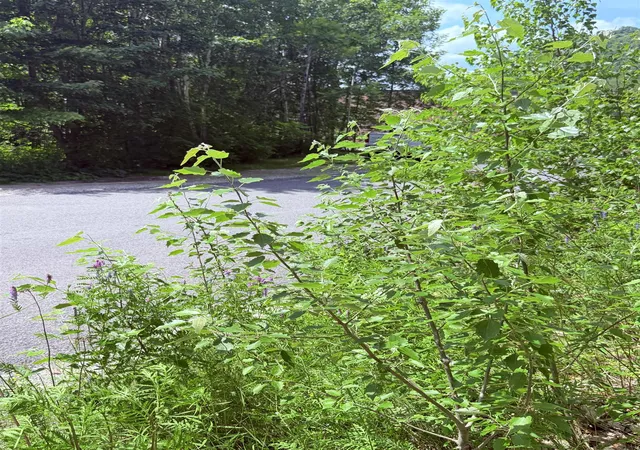 2nd image of 0 Jasper St, Berlin, NH 03570 | MLS# 5100074