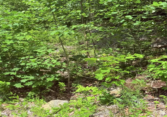 3rd image of 0 Jasper St, Berlin, NH 03570 | MLS# 5100074