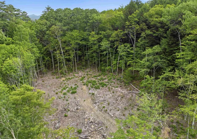 3rd image of 303 Sandwich Notch Rd, Thornton, NH 03285 | MLS# 5100307