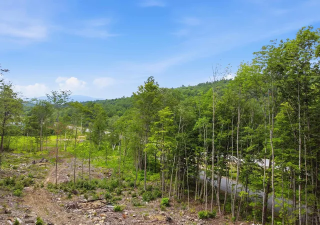 5th image of 303 Sandwich Notch Rd, Thornton, NH 03285 | MLS# 5100307