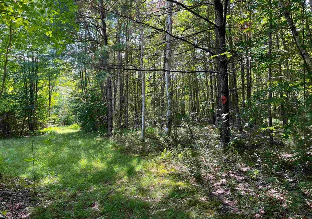 37th image of 146 Lang Rd, Monroe, NH 03771 | MLS# 5100311