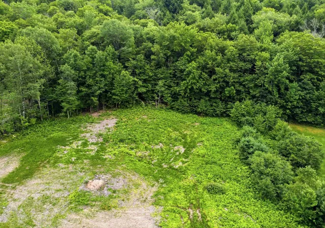 3rd image of 1072 State Route 49, West Thornton, NH 03285 | MLS# 5100315