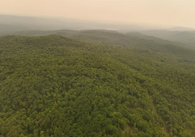 1st image of 000 Burt Hill Rd, Winchester, NH 03455 | MLS# 5100318